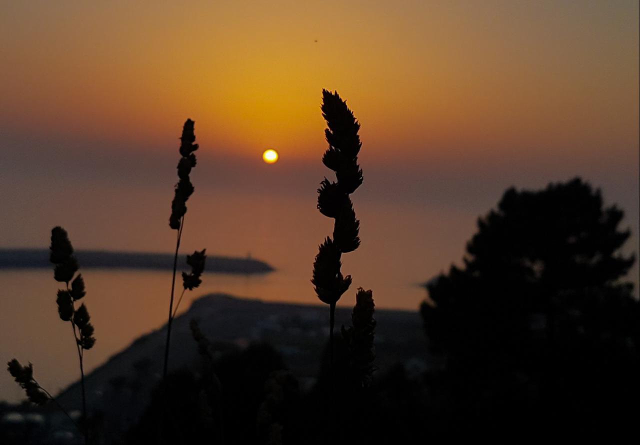 Your Nest In Nazare - Ocean View Villa 외부 사진
